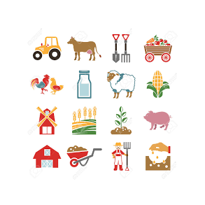 Staldrengring/Desinfektion